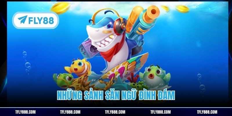 Những sảnh săn ngư đình đám