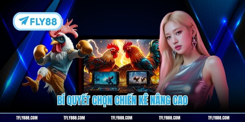 Bí quyết chọn chiến kê nâng cao