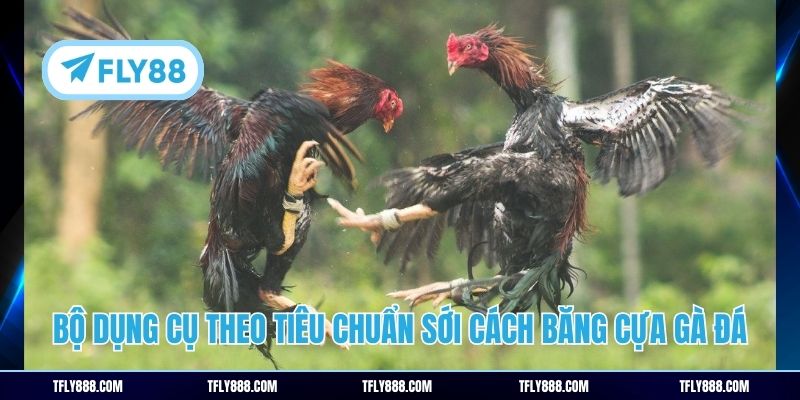 Bộ dụng cụ theo tiêu chuẩn sới cách băng cựa gà đá