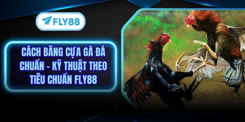 Cách Băng Cựa Gà Đá Chuẩn – Kỹ Thuật Theo Tiêu Chuẩn Fly88
