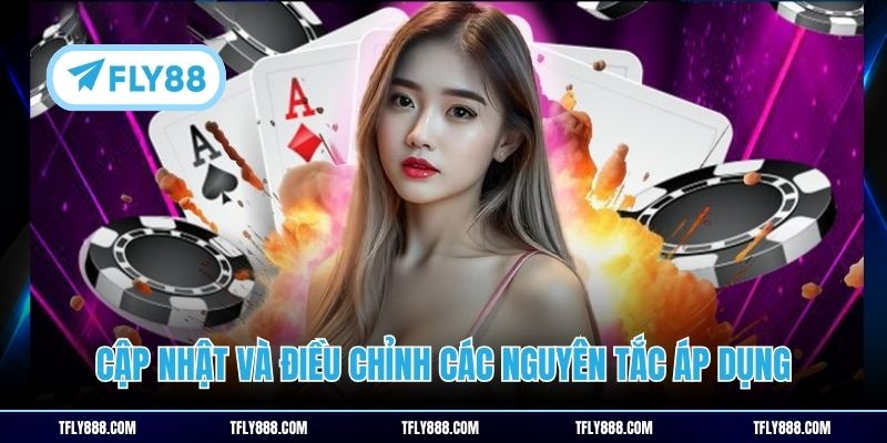 Cập nhật và điều chỉnh các nguyên tắc áp dụng