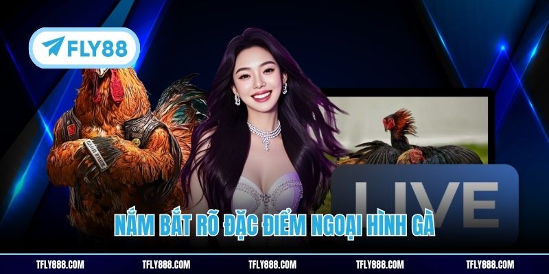 Nắm bắt rõ đặc điểm ngoại hình gà