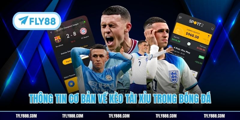 Thông tin cơ bản về kèo tài xỉu trong bóng đá