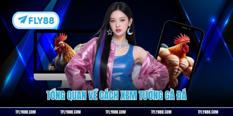 Tổng quan về cách xem tướng gà đá